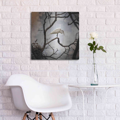 Luxe Metal Art 'Respite' by Debra Van Swearingen, Metal Wall Art,24x24