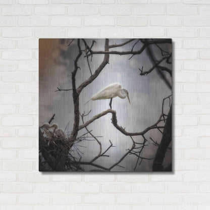Luxe Metal Art 'Respite' by Debra Van Swearingen, Metal Wall Art,36x36