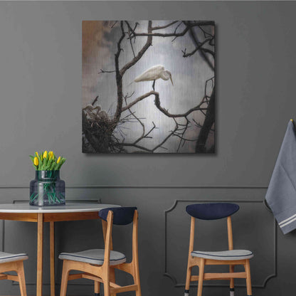 Luxe Metal Art 'Respite' by Debra Van Swearingen, Metal Wall Art,36x36