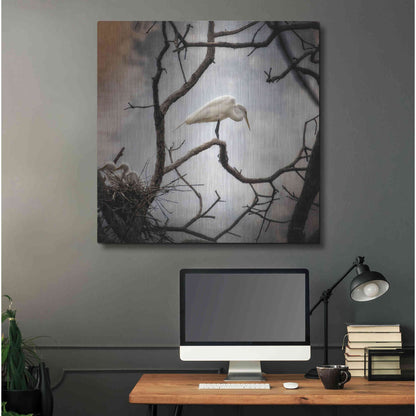 Luxe Metal Art 'Respite' by Debra Van Swearingen, Metal Wall Art,36x36