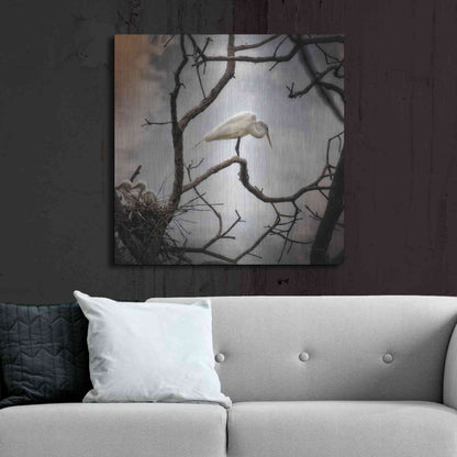 Luxe Metal Art 'Respite' by Debra Van Swearingen, Metal Wall Art,36x36