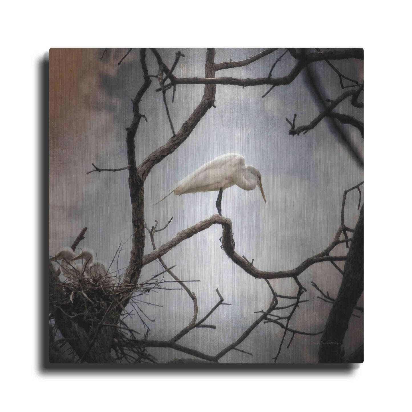 Luxe Metal Art 'Respite' by Debra Van Swearingen, Metal Wall Art