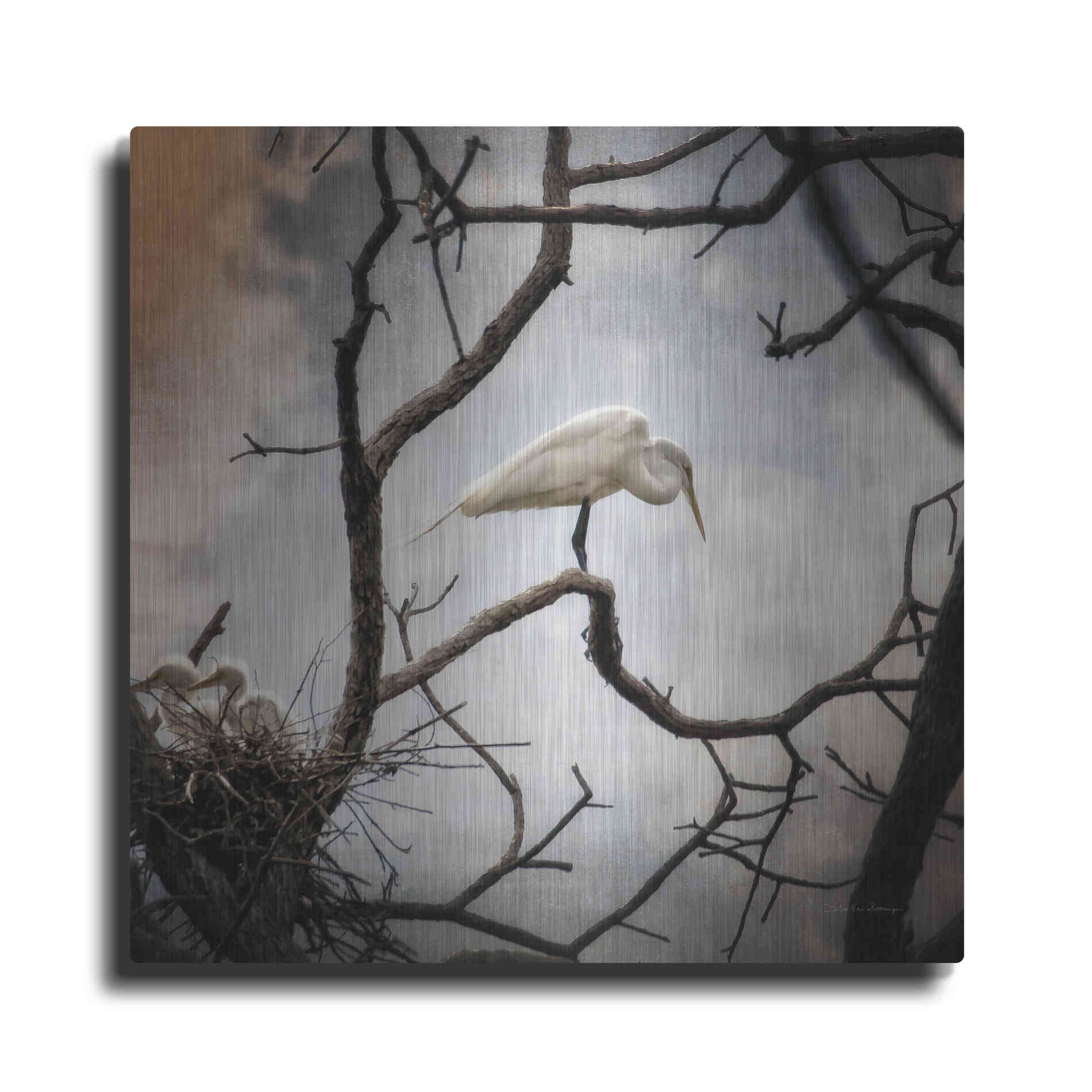 Luxe Metal Art 'Respite' by Debra Van Swearingen, Metal Wall Art