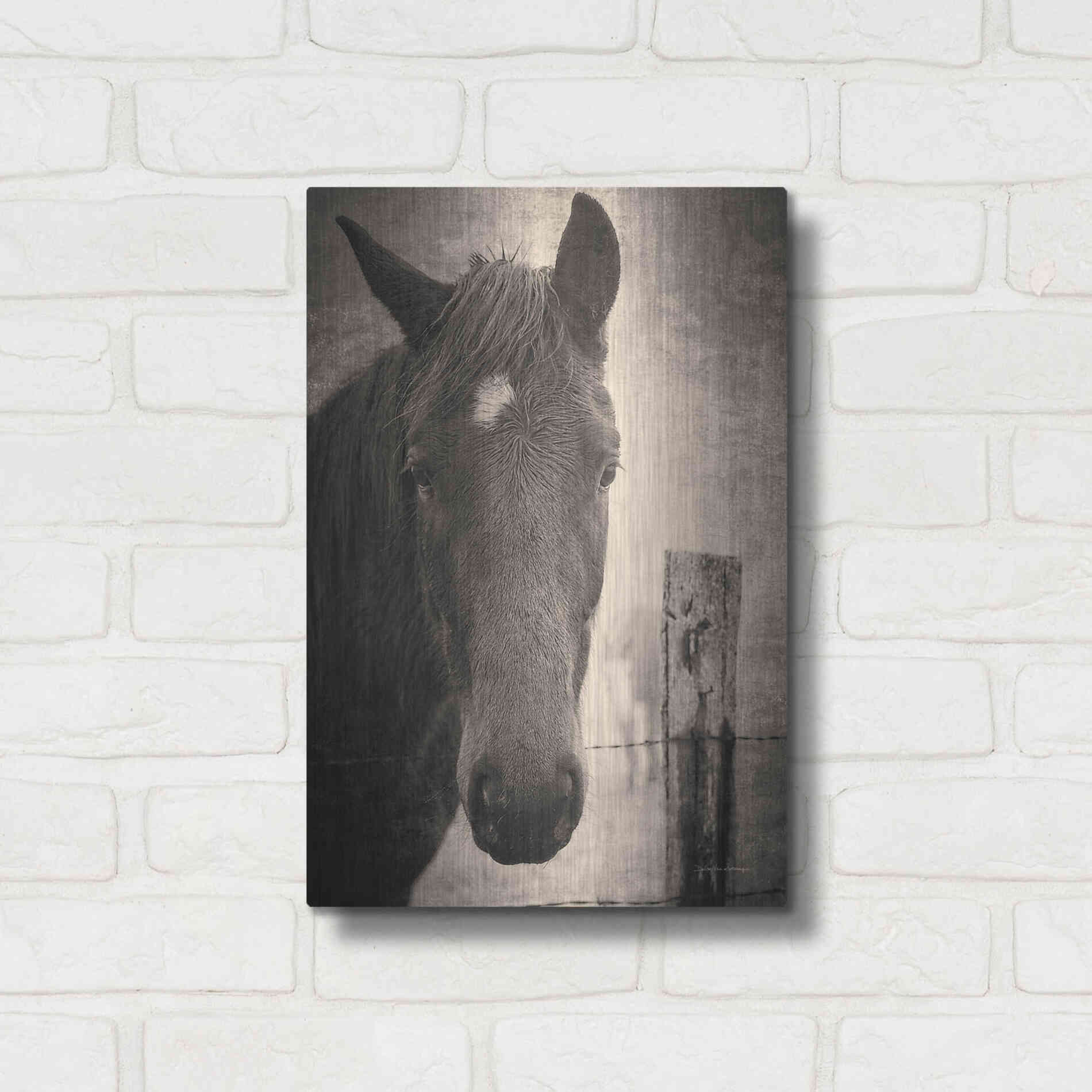 Luxe Metal Art 'Heres Looking at You I' by Debra Van Swearingen, Metal Wall Art,12x16