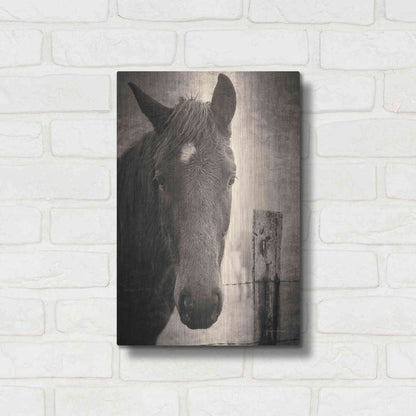 Luxe Metal Art 'Heres Looking at You I' by Debra Van Swearingen, Metal Wall Art,12x16
