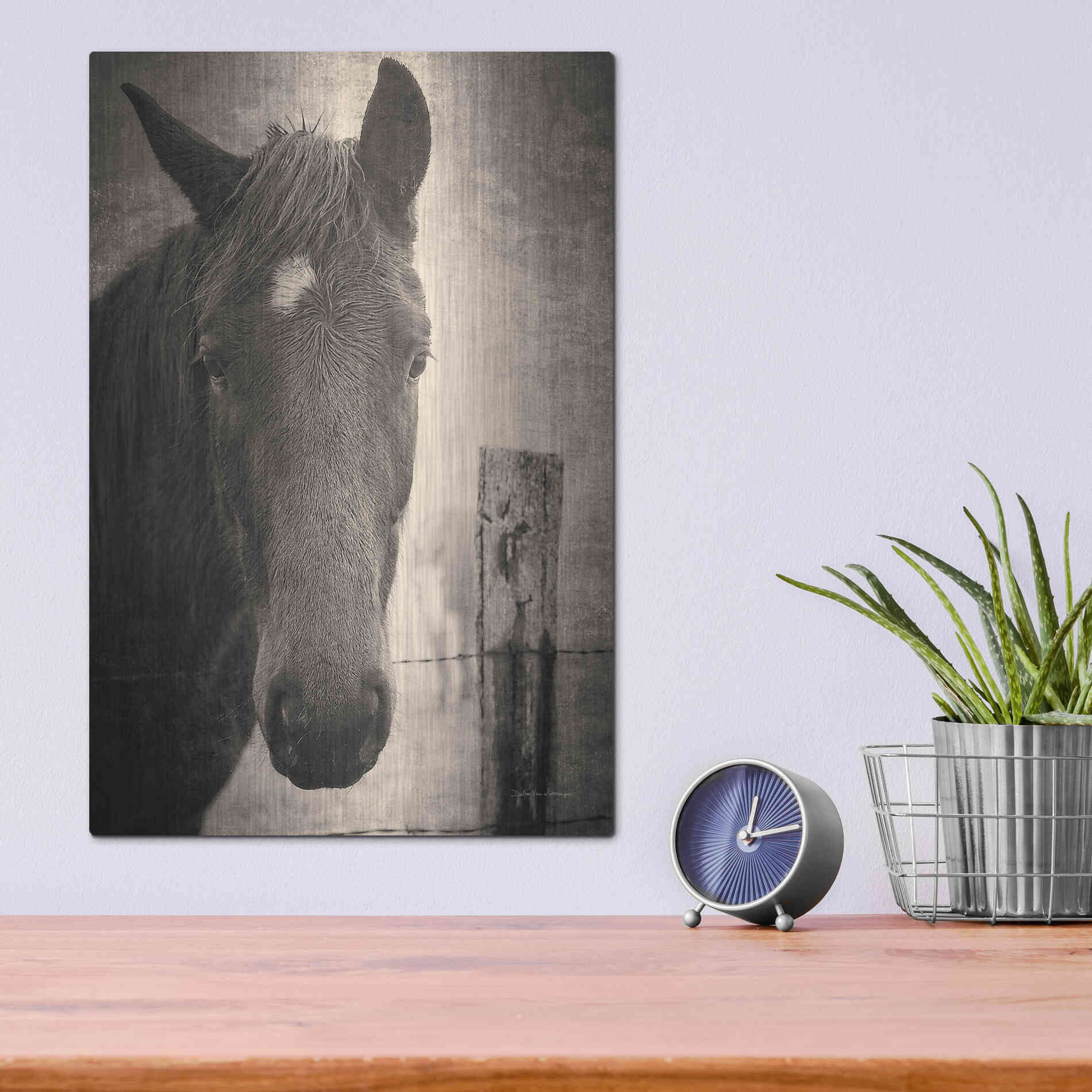 Luxe Metal Art 'Heres Looking at You I' by Debra Van Swearingen, Metal Wall Art,12x16