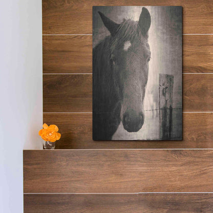 Luxe Metal Art 'Heres Looking at You I' by Debra Van Swearingen, Metal Wall Art,12x16