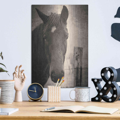 Luxe Metal Art 'Heres Looking at You I' by Debra Van Swearingen, Metal Wall Art,12x16