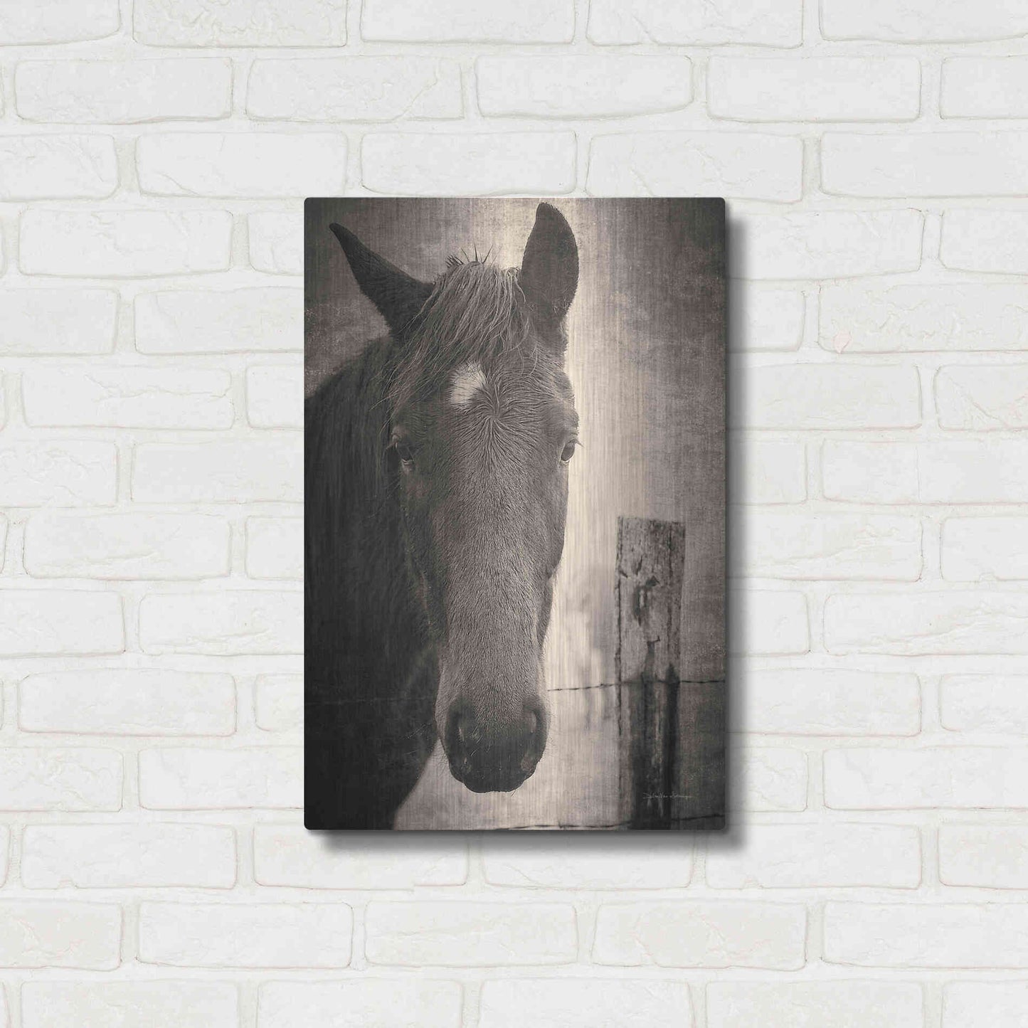 Luxe Metal Art 'Heres Looking at You I' by Debra Van Swearingen, Metal Wall Art,16x24