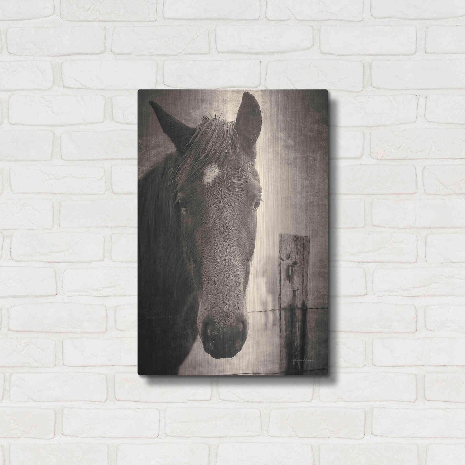 Luxe Metal Art 'Heres Looking at You I' by Debra Van Swearingen, Metal Wall Art,16x24