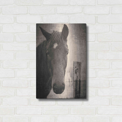 Luxe Metal Art 'Heres Looking at You I' by Debra Van Swearingen, Metal Wall Art,16x24