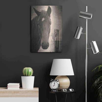 Luxe Metal Art 'Heres Looking at You I' by Debra Van Swearingen, Metal Wall Art,16x24