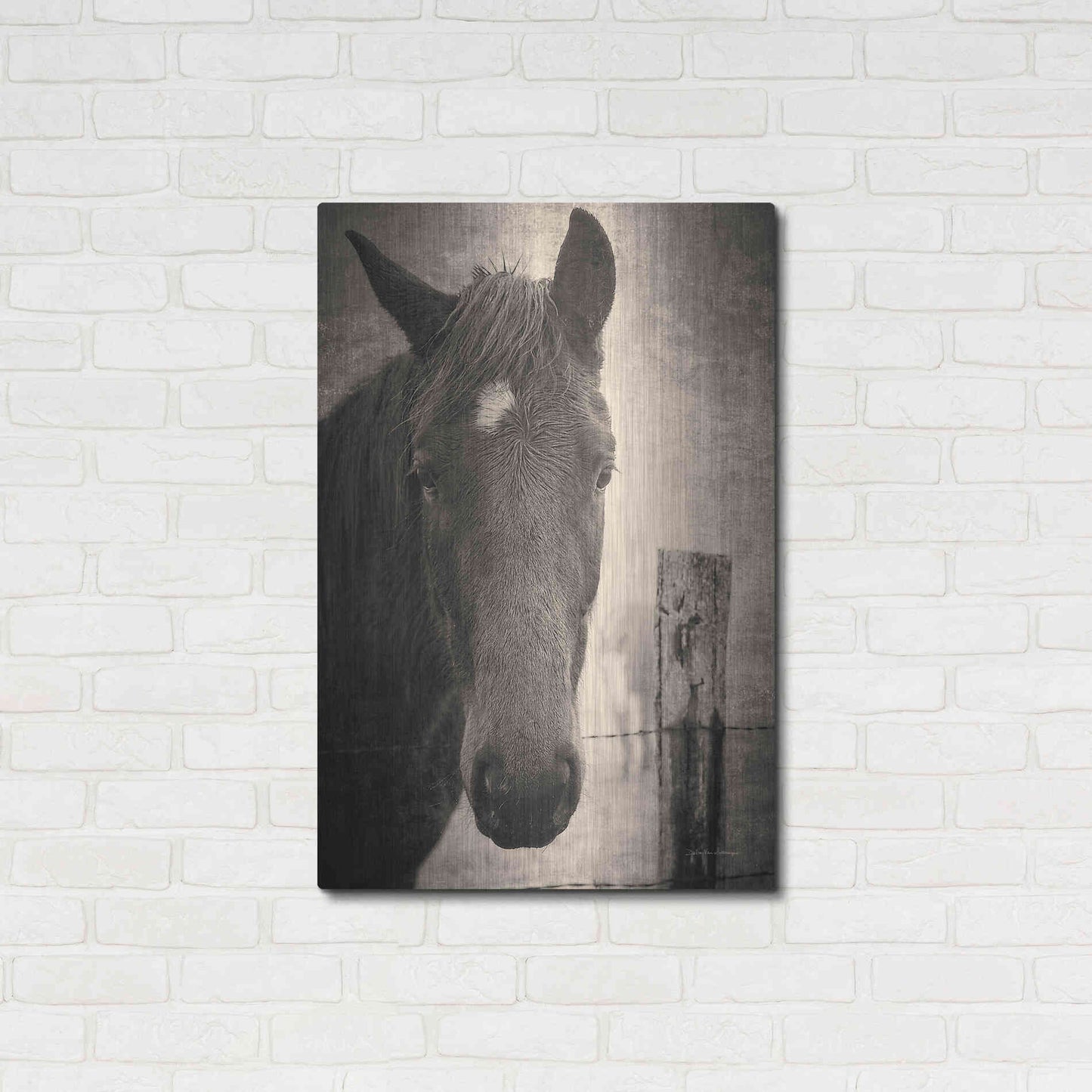 Luxe Metal Art 'Heres Looking at You I' by Debra Van Swearingen, Metal Wall Art,24x36