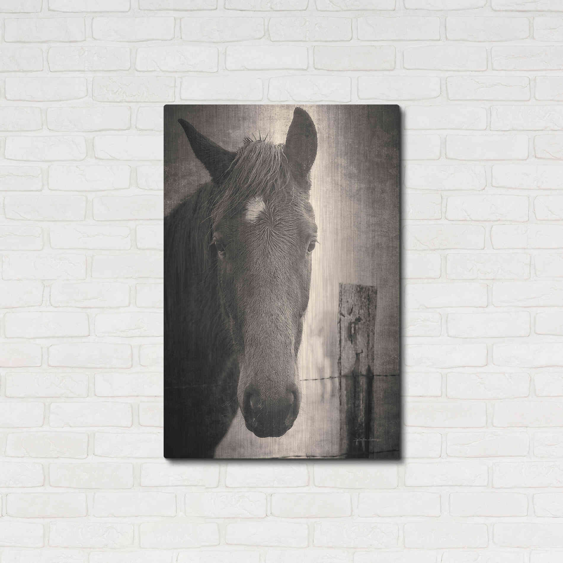 Luxe Metal Art 'Heres Looking at You I' by Debra Van Swearingen, Metal Wall Art,24x36