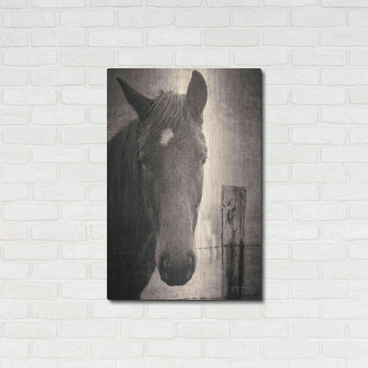 Luxe Metal Art 'Heres Looking at You I' by Debra Van Swearingen, Metal Wall Art,24x36