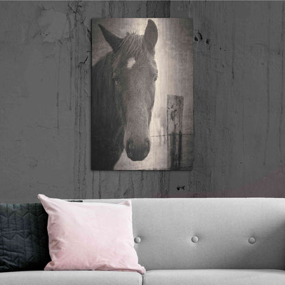 Luxe Metal Art 'Heres Looking at You I' by Debra Van Swearingen, Metal Wall Art,24x36