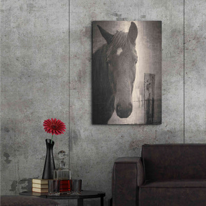Luxe Metal Art 'Heres Looking at You I' by Debra Van Swearingen, Metal Wall Art,24x36