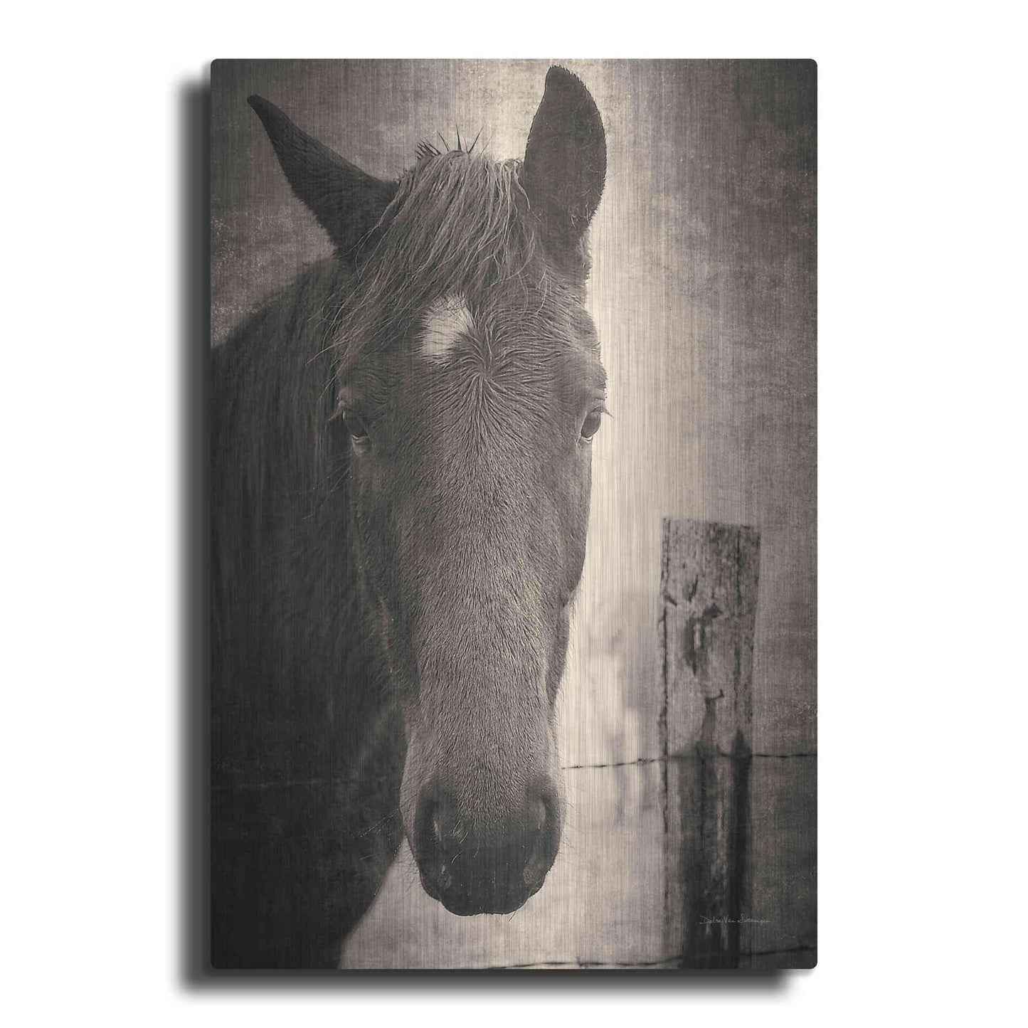 Luxe Metal Art 'Heres Looking at You I' by Debra Van Swearingen, Metal Wall Art
