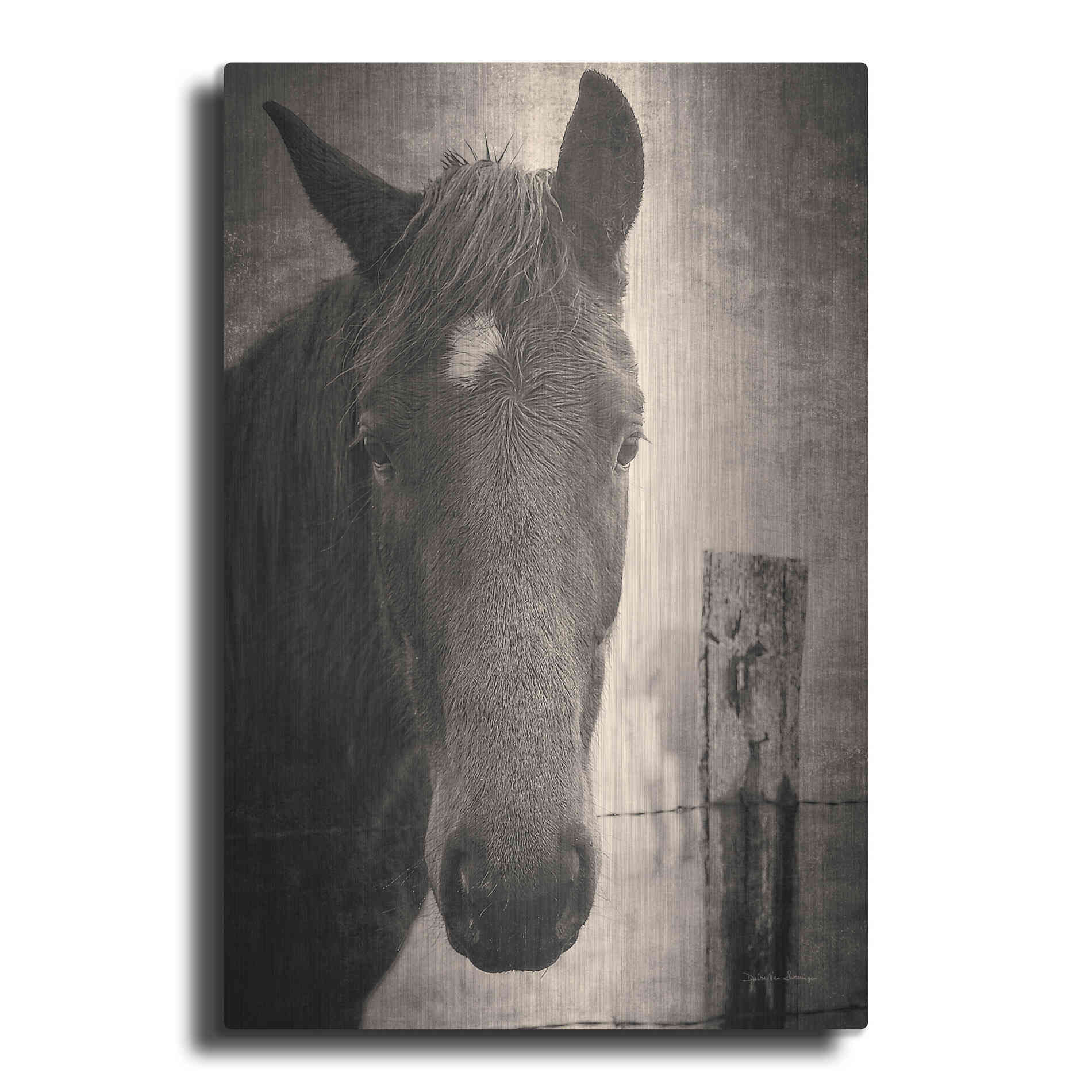 Luxe Metal Art 'Heres Looking at You I' by Debra Van Swearingen, Metal Wall Art