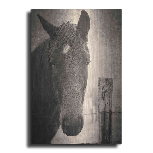 Luxe Metal Art 'Heres Looking at You I' by Debra Van Swearingen, Metal Wall Art