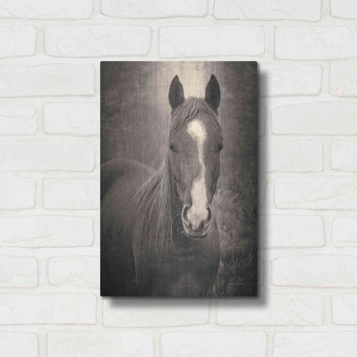 Luxe Metal Art 'Heres Looking at You II' by Debra Van Swearingen, Metal Wall Art,12x16