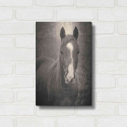 Luxe Metal Art 'Heres Looking at You II' by Debra Van Swearingen, Metal Wall Art,12x16