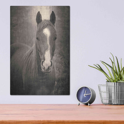 Luxe Metal Art 'Heres Looking at You II' by Debra Van Swearingen, Metal Wall Art,12x16