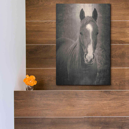 Luxe Metal Art 'Heres Looking at You II' by Debra Van Swearingen, Metal Wall Art,12x16