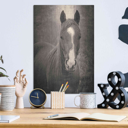 Luxe Metal Art 'Heres Looking at You II' by Debra Van Swearingen, Metal Wall Art,12x16