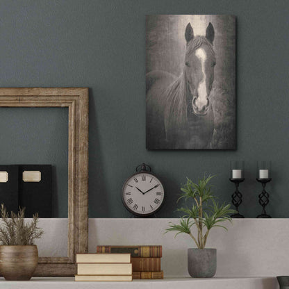 Luxe Metal Art 'Heres Looking at You II' by Debra Van Swearingen, Metal Wall Art,12x16