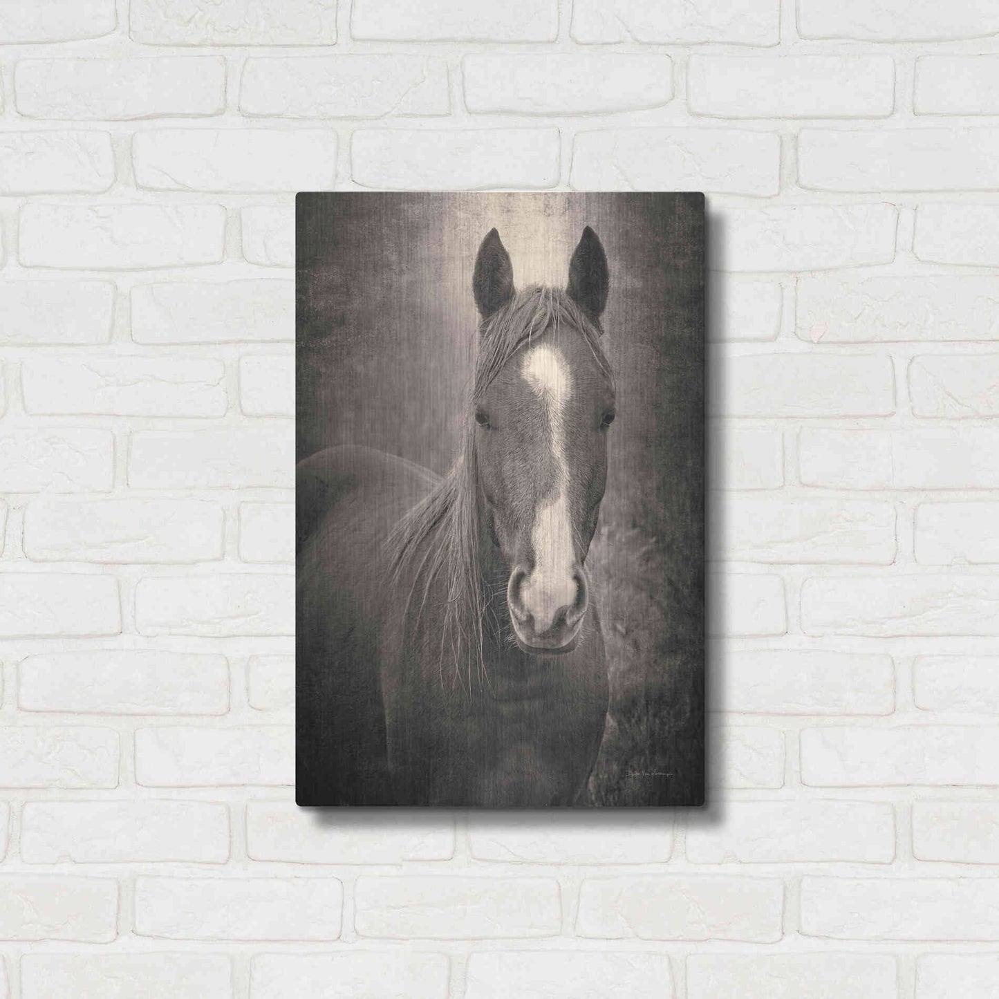 Luxe Metal Art 'Heres Looking at You II' by Debra Van Swearingen, Metal Wall Art,16x24
