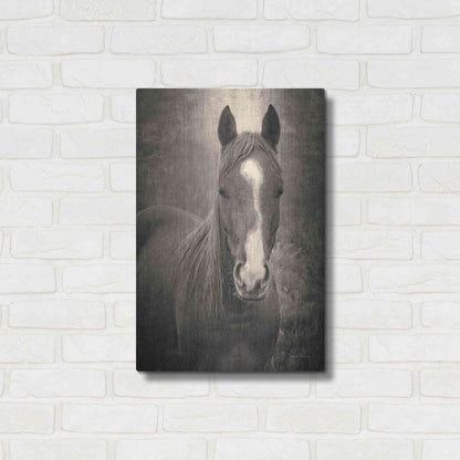 Luxe Metal Art 'Heres Looking at You II' by Debra Van Swearingen, Metal Wall Art,16x24
