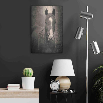 Luxe Metal Art 'Heres Looking at You II' by Debra Van Swearingen, Metal Wall Art,16x24