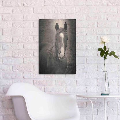 Luxe Metal Art 'Heres Looking at You II' by Debra Van Swearingen, Metal Wall Art,16x24