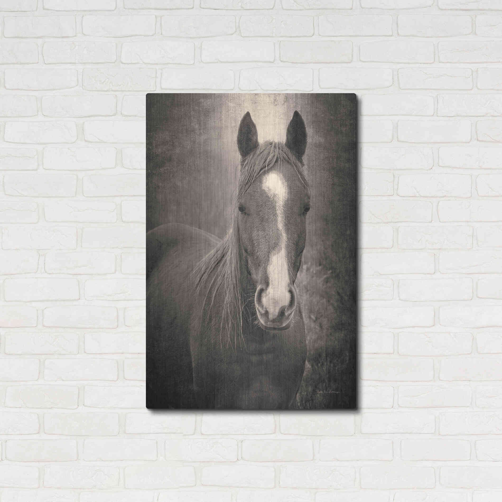 Luxe Metal Art 'Heres Looking at You II' by Debra Van Swearingen, Metal Wall Art,24x36