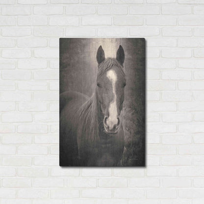 Luxe Metal Art 'Heres Looking at You II' by Debra Van Swearingen, Metal Wall Art,24x36