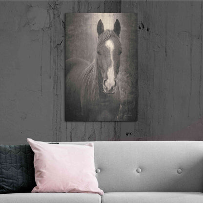Luxe Metal Art 'Heres Looking at You II' by Debra Van Swearingen, Metal Wall Art,24x36