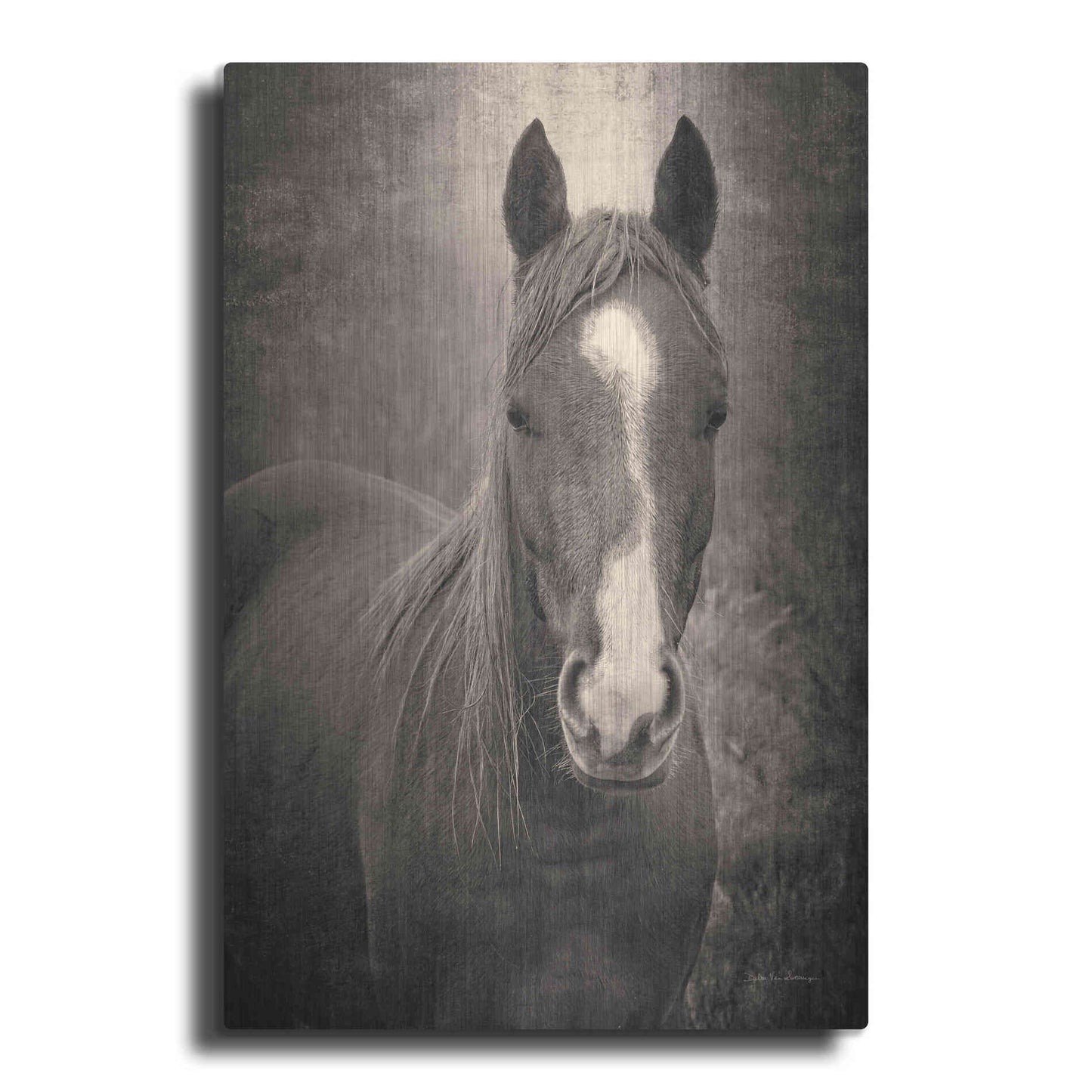 Luxe Metal Art 'Heres Looking at You II' by Debra Van Swearingen, Metal Wall Art