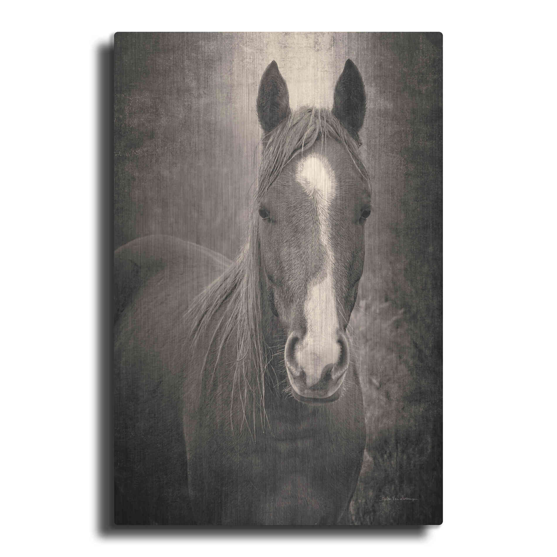 Luxe Metal Art 'Heres Looking at You II' by Debra Van Swearingen, Metal Wall Art