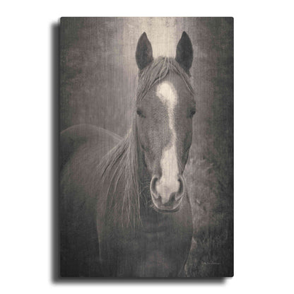 Luxe Metal Art 'Heres Looking at You II' by Debra Van Swearingen, Metal Wall Art