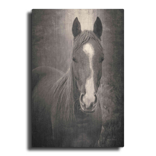 Luxe Metal Art 'Heres Looking at You II' by Debra Van Swearingen, Metal Wall Art