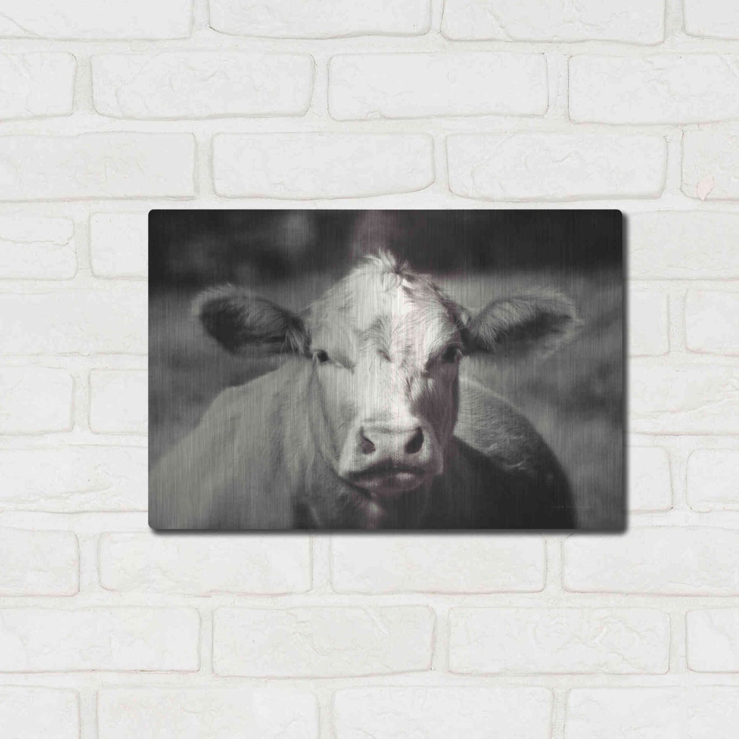 Luxe Metal Art 'Pasture Cow' by Debra Van Swearingen, Metal Wall Art,16x12
