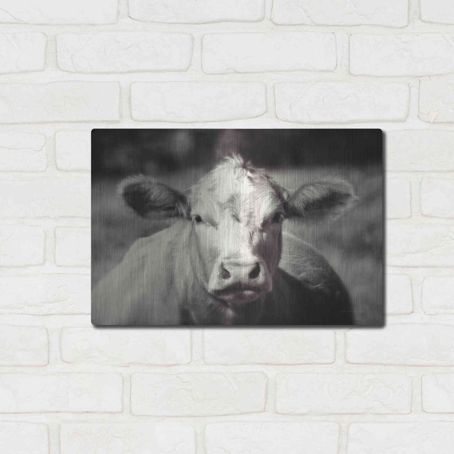 Luxe Metal Art 'Pasture Cow' by Debra Van Swearingen, Metal Wall Art,16x12