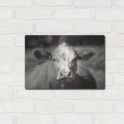 Luxe Metal Art 'Pasture Cow' by Debra Van Swearingen, Metal Wall Art,16x12
