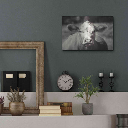 Luxe Metal Art 'Pasture Cow' by Debra Van Swearingen, Metal Wall Art,16x12