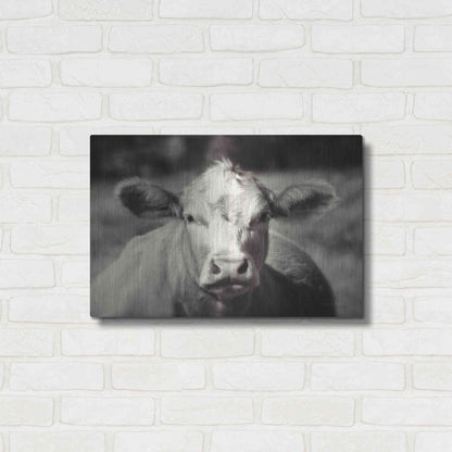 Luxe Metal Art 'Pasture Cow' by Debra Van Swearingen, Metal Wall Art,24x16