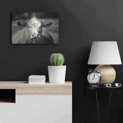 Luxe Metal Art 'Pasture Cow' by Debra Van Swearingen, Metal Wall Art,24x16