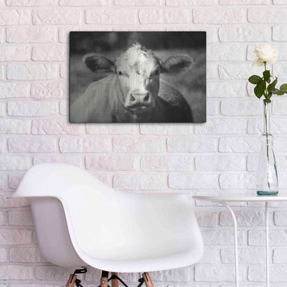 Luxe Metal Art 'Pasture Cow' by Debra Van Swearingen, Metal Wall Art,24x16