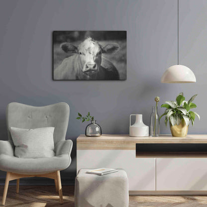 Luxe Metal Art 'Pasture Cow' by Debra Van Swearingen, Metal Wall Art,24x16