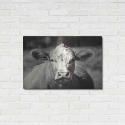 Luxe Metal Art 'Pasture Cow' by Debra Van Swearingen, Metal Wall Art,36x24